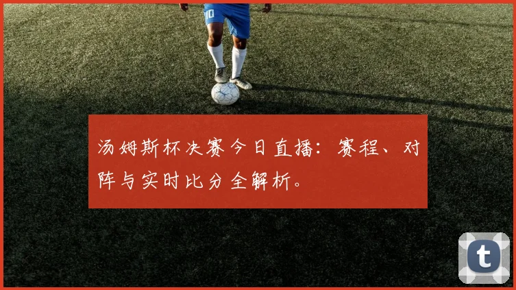 汤姆斯杯决赛今日直播：赛程、对阵与实时比分全解析。