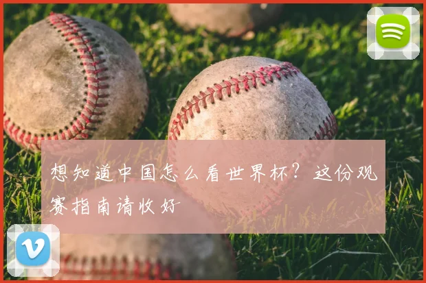 想知道中国怎么看世界杯?这份观赛指南请收好
