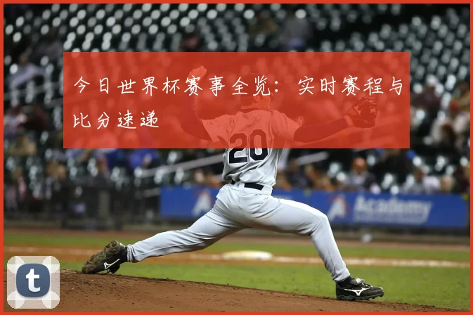 今日世界杯赛事全览:实时赛程与比分速递