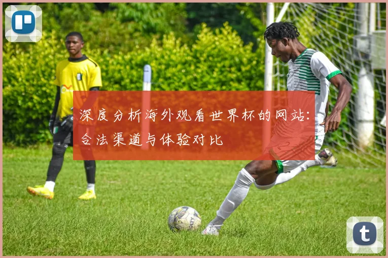深度分析海外观看世界杯的网站：合法渠道与体验对比