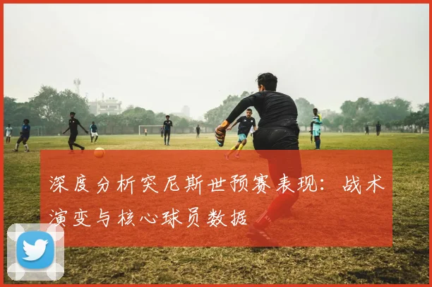 深度分析突尼斯世预赛表现：战术演变与核心球员数据