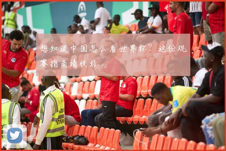 想知道中国怎么看世界杯?这份观赛指南请收好