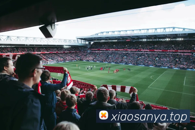 多媒体互动体验